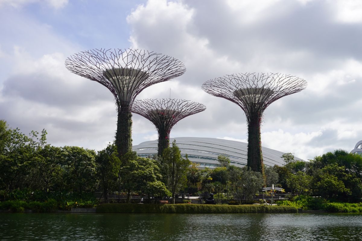 Gardens by the Bay シンガポール 代表的な野鳥 観察ガイド