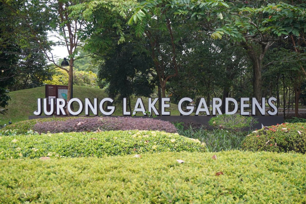Jurong Lake Gardens 湖と緑に囲まれた野鳥観察スポット