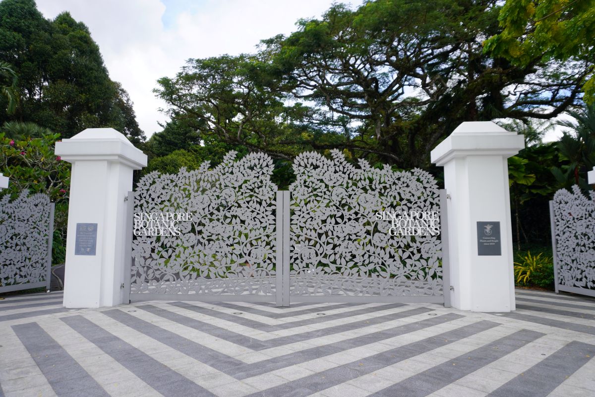 Singapore Botanic Gardens シンガポール 野鳥観察 入門スポット